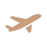 Puis-je l’emporter en avion ?